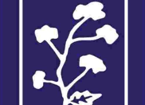 govjobdesk CCI
